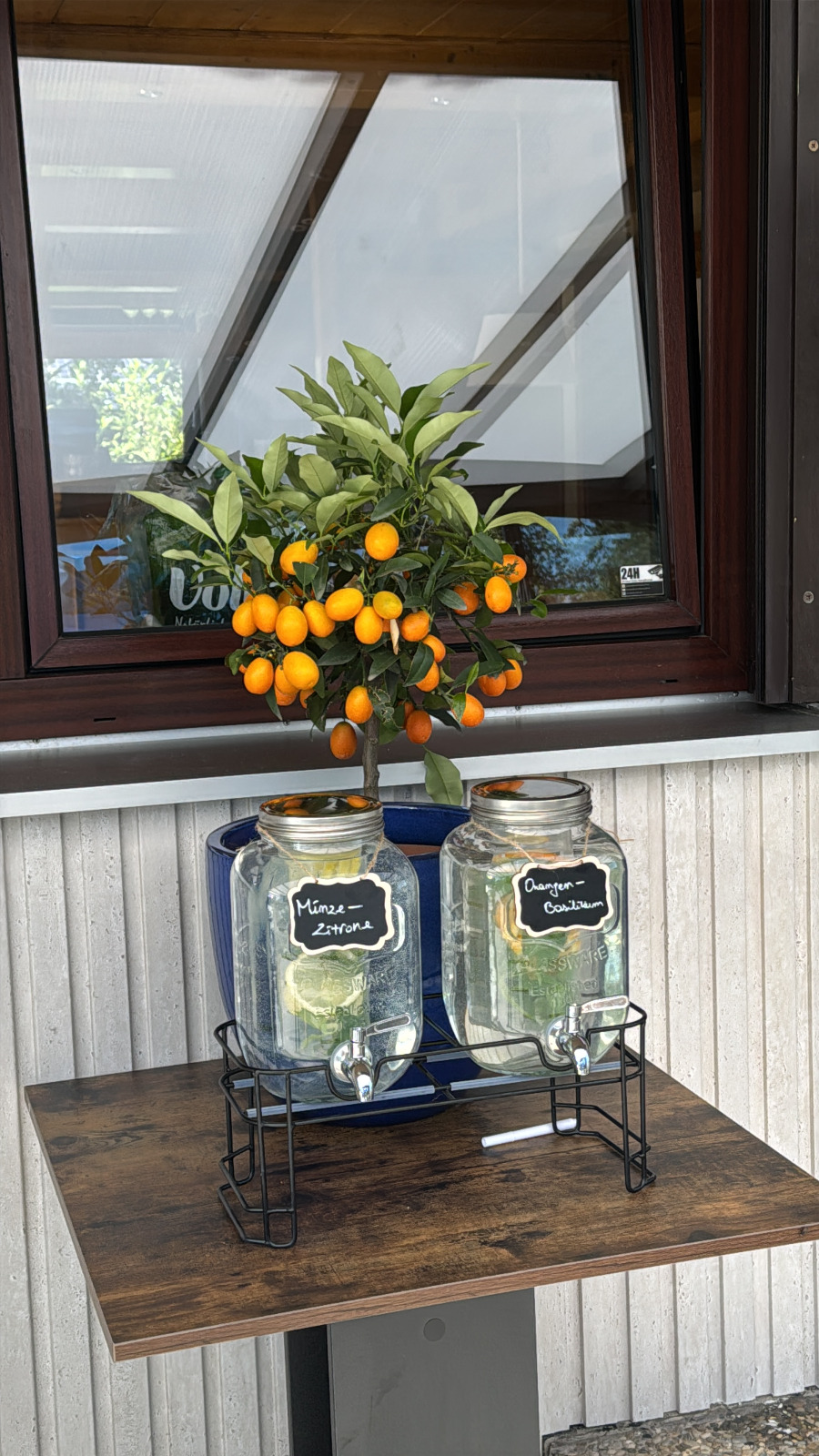 Zwei Glasspender mit Minze-Zitronen- und Orangen-Basilikum-Wasser neben einem Kumquat-Bäumchen am Fenster