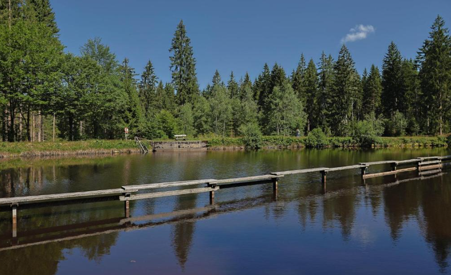 Ein Waldsee im Fichtelgebirge mit hölzernen Stegen, umgeben von Nadelwald